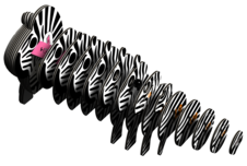 EUGY Zebra 3D kartonová skládačka - EUGY011_4.png