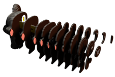 EUGY Medvěd grizzly 3D kartonová skládačka - EUGY039_4.png