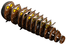 EUGY Sova 3D kartonová skládačka - EUGY044_4.png