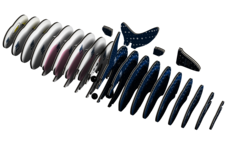 EUGY Žralok obrovský 3D kartonová skládačka - EUGY049_4.png
