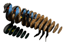 EUGY Emu 3D kartonová skládačka - EUGY057_4.png