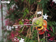 EUGY Chameleon 3D kartonová skládačka - EUGY075_11.jpg