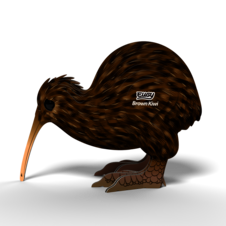 EUGY Kivi hnědý 3D kartonová skládačka - EUGY091_2.png