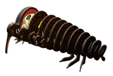 EUGY Kivi hnědý 3D kartonová skládačka - EUGY091_4.png