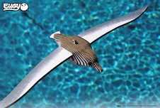 EUGY Albatros královský 3D kartonová skládačka - EUGY097_8.jpg