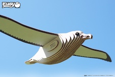 EUGY Albatros královský 3D kartonová skládačka - EUGY097_9.jpg