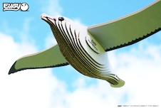 EUGY Albatros královský 3D kartonová skládačka - EUGY097_10.jpg