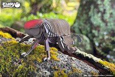 EUGY Brouk goliáš 3D kartonová skládačka - EUGY111_10.jpg