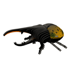 EUGY Brouk herkules 3D kartonová skládačka - EUGY112_2.png