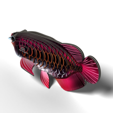 EUGY Arowana asijská 3D kartonová skládačka - EUGY118_3.png