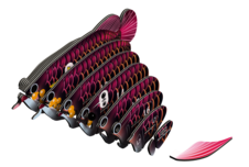 EUGY Arowana asijská 3D kartonová skládačka - EUGY118_4.png