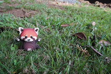 EUGY Panda červená 3D kartonová skládačka - EUGY126_8.JPG