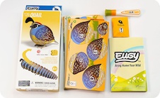 EUGY Křepelka 3D kartonová skládačka - EUGY129_6.jpg