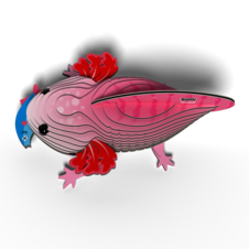 EUGY Axolotl 3D kartonová skládačka - EUGY139_2.png