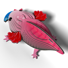 EUGY Axolotl 3D kartonová skládačka - EUGY139_3.png
