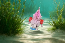 EUGY Axolotl 3D kartonová skládačka - EUGY139_7.jpg