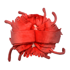 PTIPOTOS Plyšová medúza Lilou korálově modrá - máma s miminkem - 75901_4.png